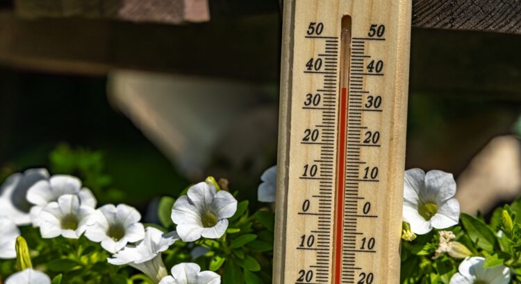 Canicule : cet accessoire Decathlon à 2 € peut
rafraîchir votre logement de plusieurs degrés