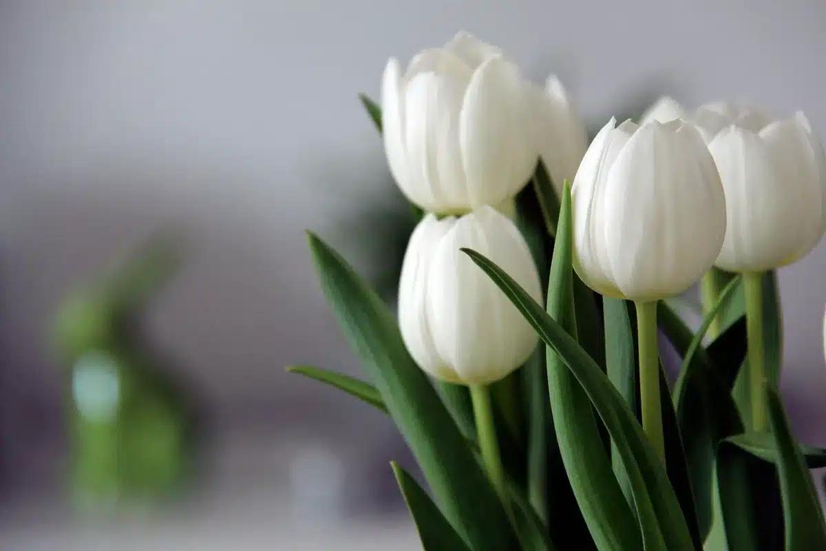 Fleurs et accessoires funéraires montrés en arrière-plan, service optionnel