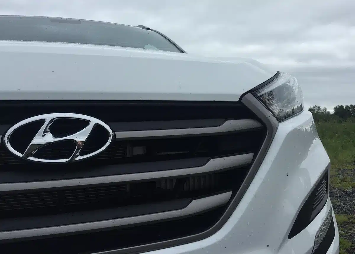 Glacière souple pliée dans le coffre d'une voiture avec accessoires de pique-nique