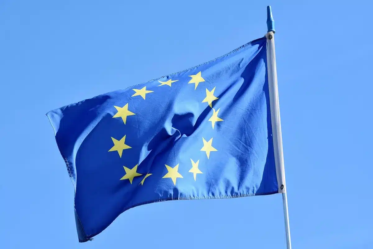 Documents administratifs et dossiers d'aides publiques avec drapeau européen flou