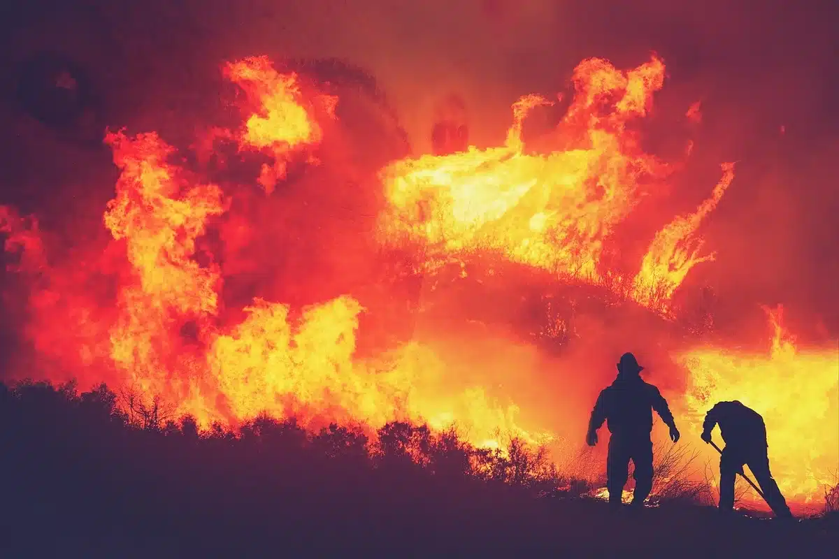 Quartier californien en plein jour après un feu, toits endommagés et pompiers en arrière-plan