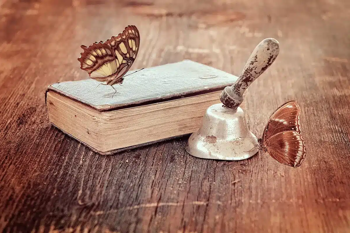 Deux gros livres anciens sur une table près d'une fenêtre, cartons ouverts en arrière-plan